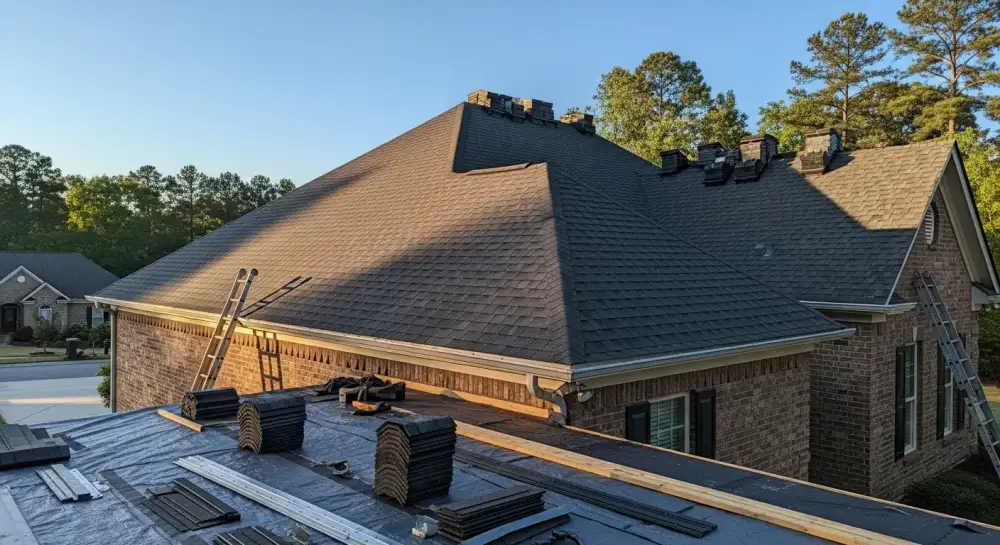 Roof Puppy
