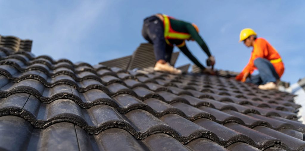 DOLPHIN ROOFING