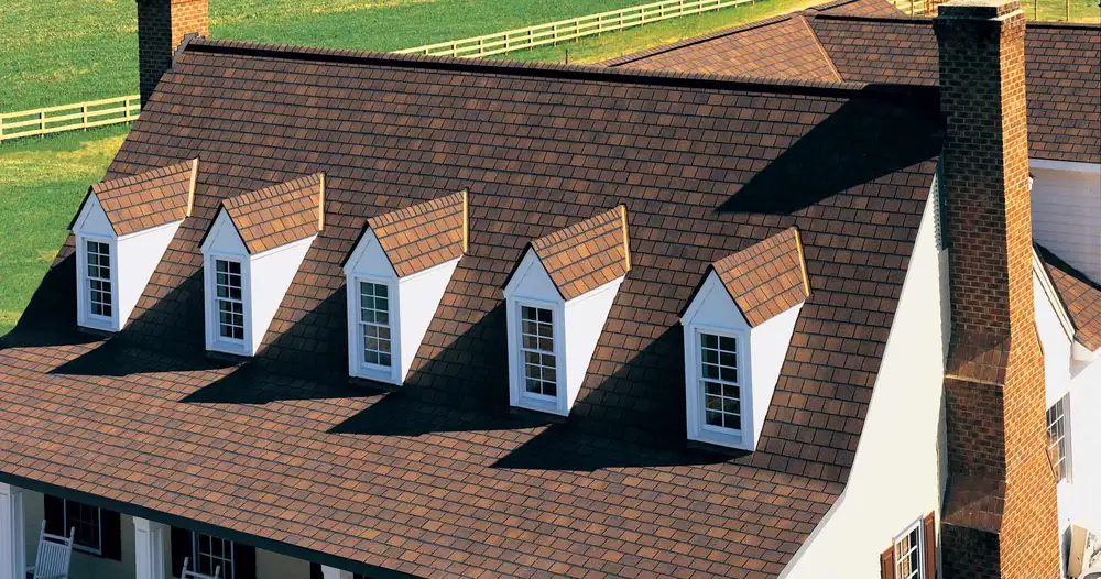 DP Roofing & Contracting