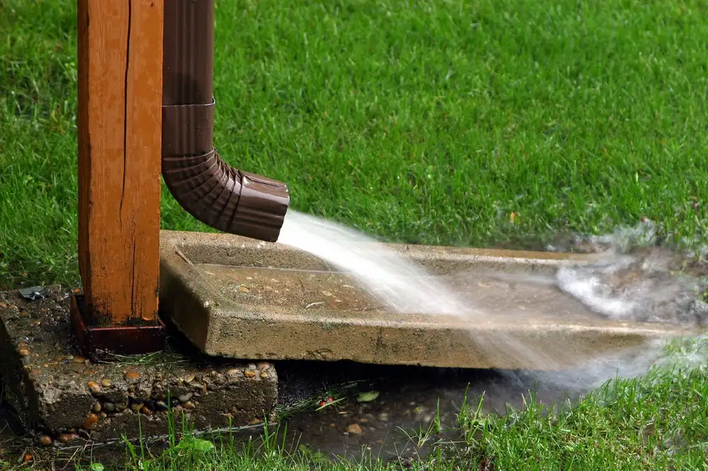Harbor Roof and Gutter Cleaning