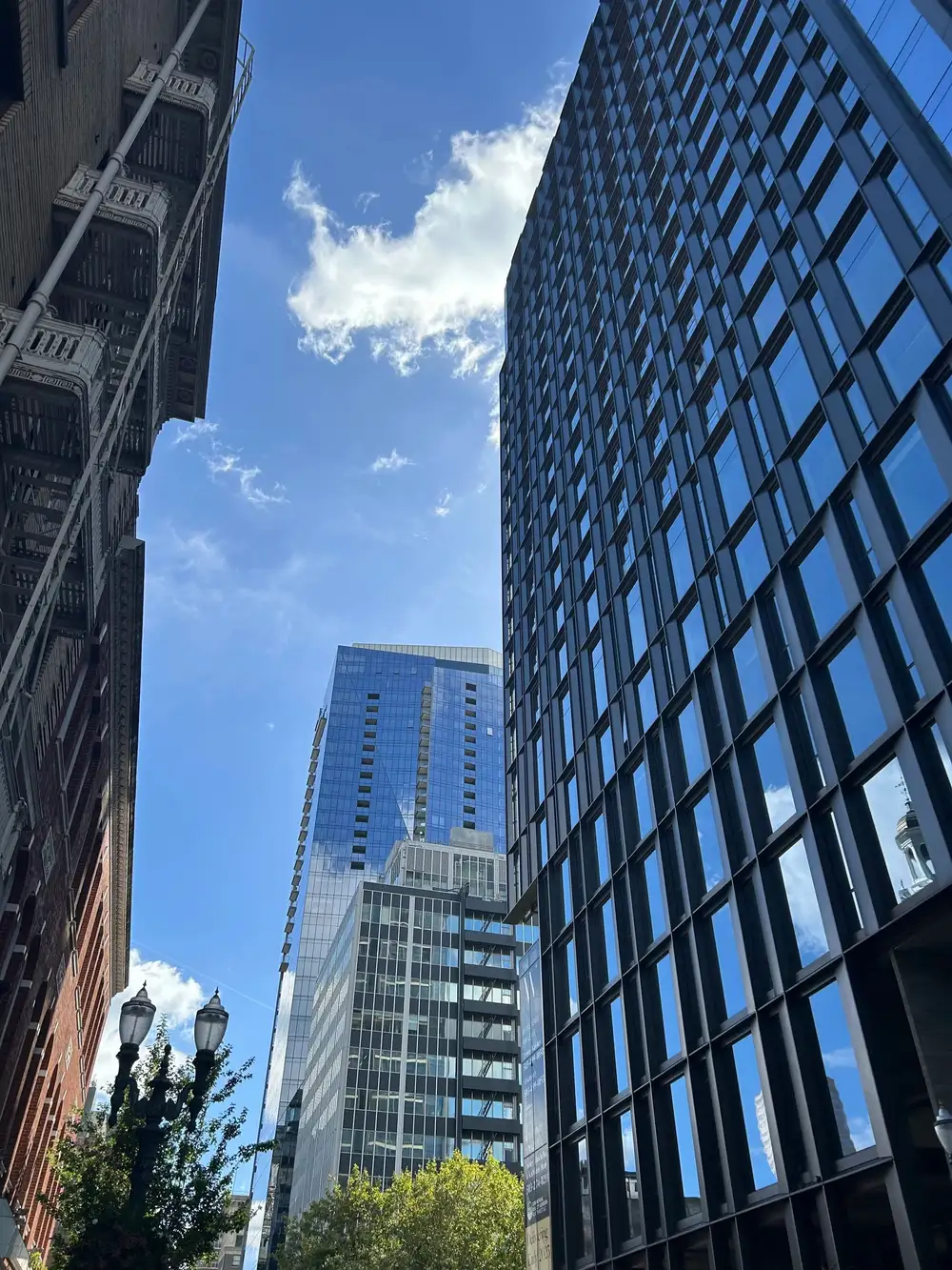 Bild Corp